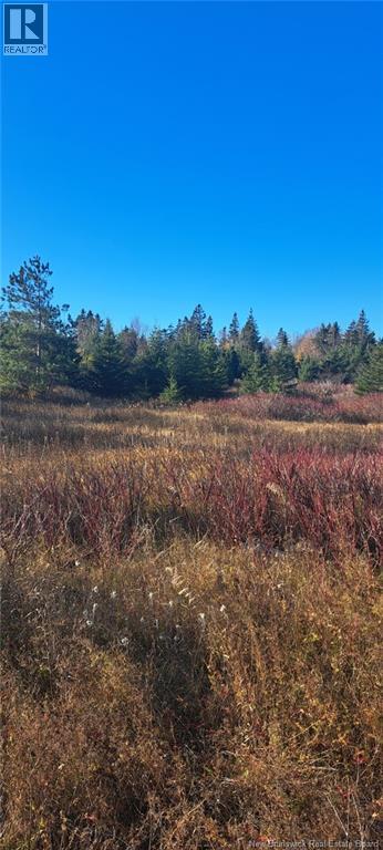 1.3 Acres Route 113, Miscou, New Brunswick  E8T 1C7 - Photo 2 - NB129299