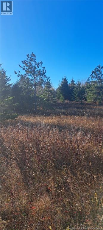 1.3 Acres Route 113, Miscou, New Brunswick  E8T 1C7 - Photo 4 - NB129299