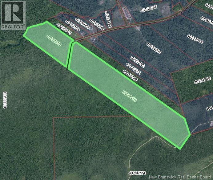 72 Acres Meadow Brook Road, Baie-Sainte-Anne, New Brunswick  E9A 1M6 - Photo 2 - NB129726
