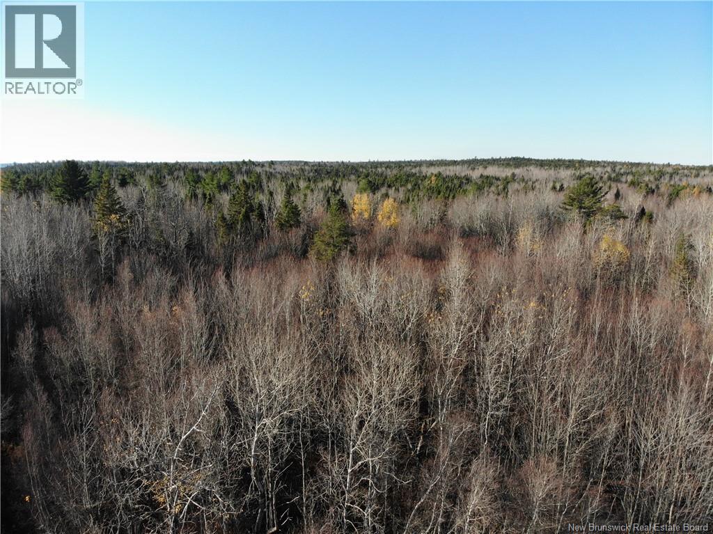 10552 Route 10, Youngs Cove, New Brunswick E4C 2E2 - Photo 1 - NB129558