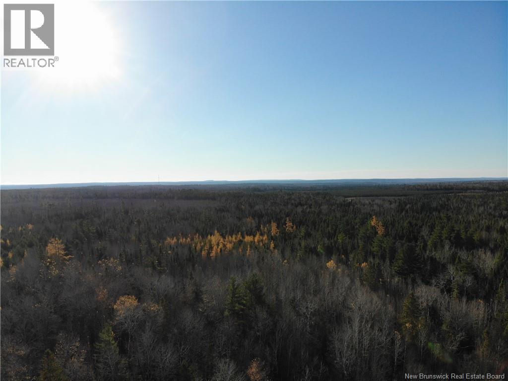 10552 Route 10, Youngs Cove, New Brunswick E4C 2E2 - Photo 10 - NB129558