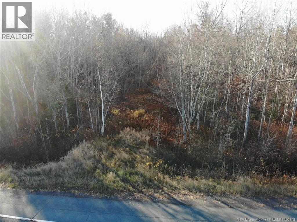 10552 Route 10, Youngs Cove, New Brunswick E4C 2E2 - Photo 11 - NB129558