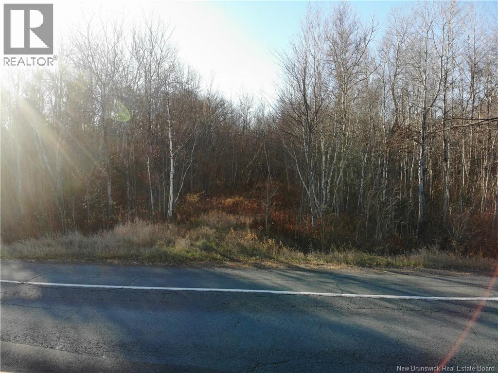 10552 Route 10, Youngs Cove, New Brunswick E4C 2E2 - Photo 12 - NB129558