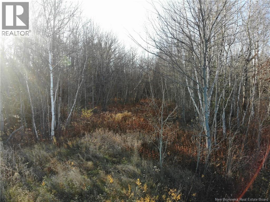 10552 Route 10, Youngs Cove, New Brunswick E4C 2E2 - Photo 13 - NB129558