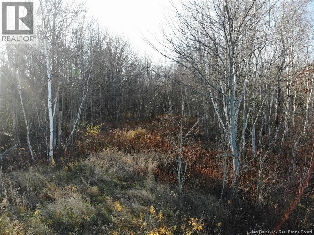 10552 Route 10, Youngs Cove, New Brunswick E4C 2E2 - Photo 14 - NB129558