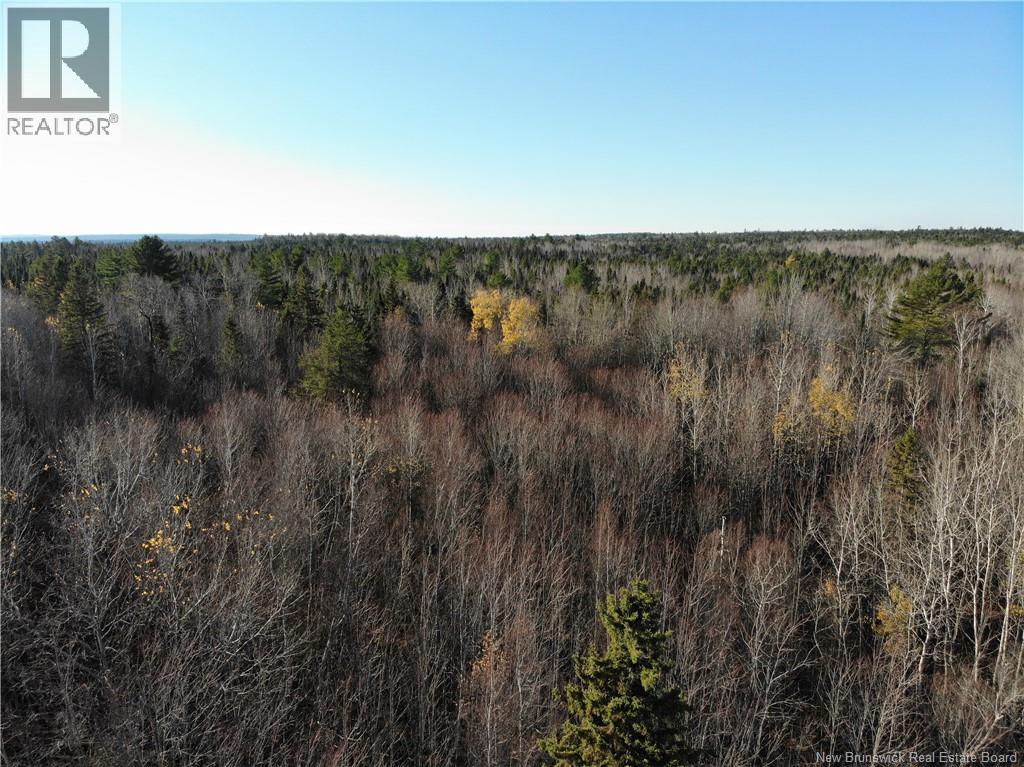 10552 Route 10, Youngs Cove, New Brunswick E4C 2E2 - Photo 2 - NB129558