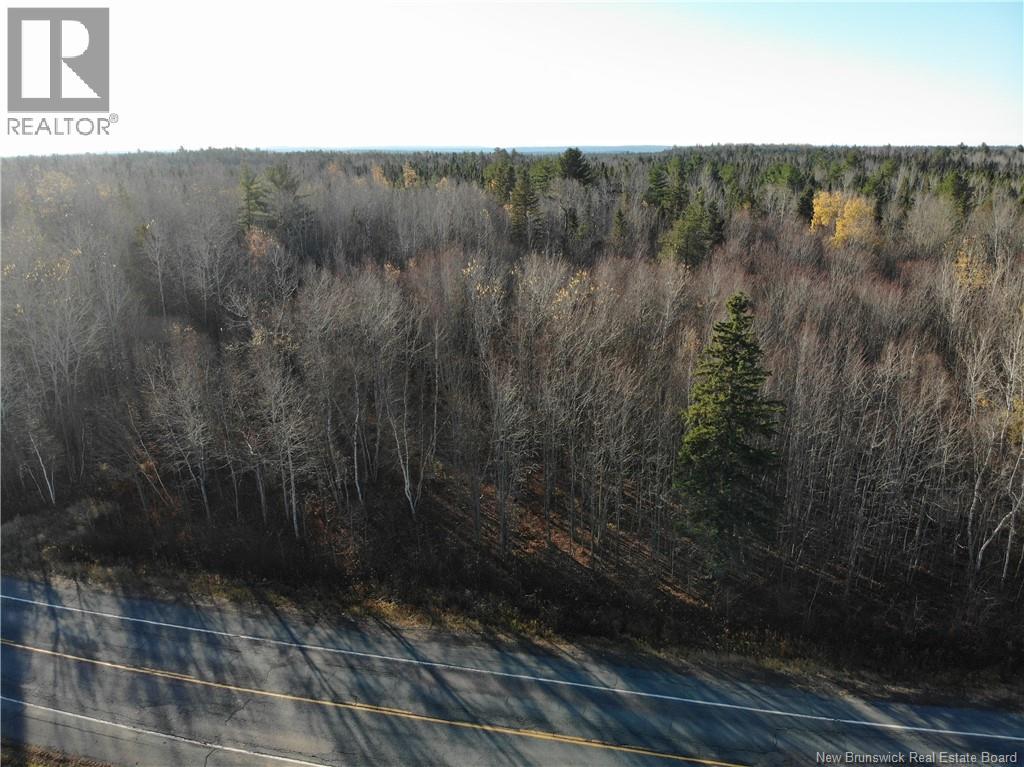 10552 Route 10, Youngs Cove, New Brunswick E4C 2E2 - Photo 3 - NB129558