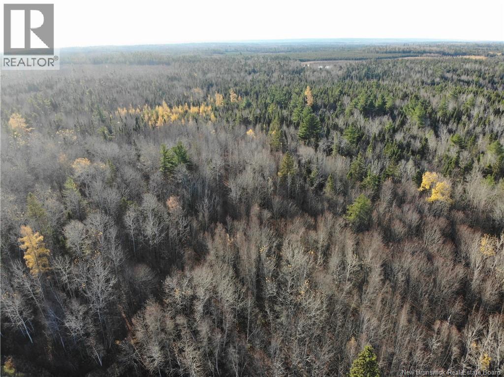 10552 Route 10, Youngs Cove, New Brunswick E4C 2E2 - Photo 4 - NB129558