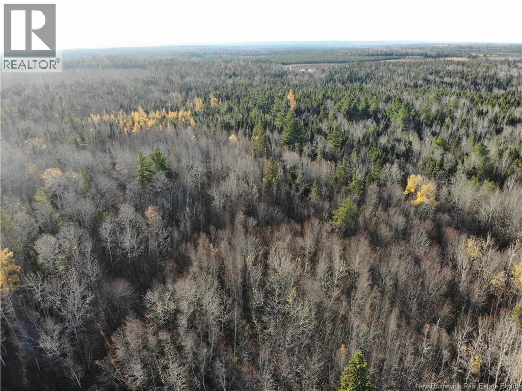 10552 Route 10, Youngs Cove, New Brunswick E4C 2E2 - Photo 5 - NB129558