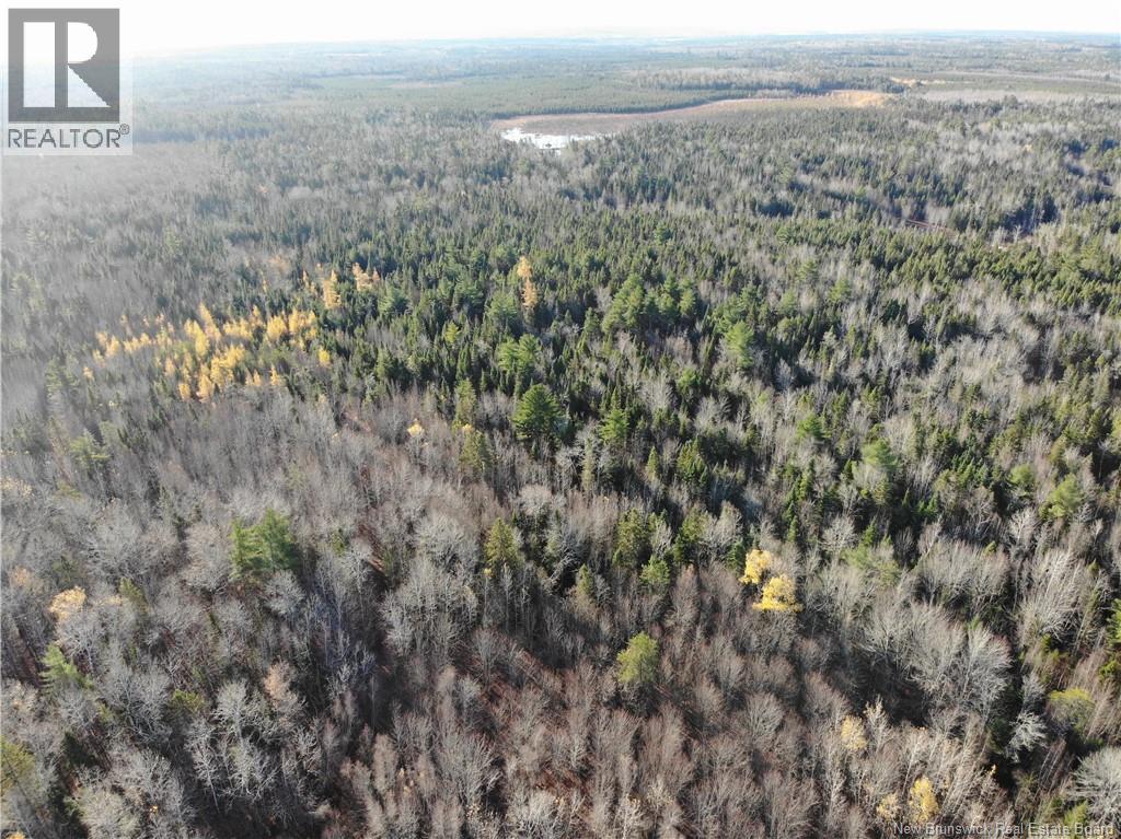 10552 Route 10, Youngs Cove, New Brunswick E4C 2E2 - Photo 6 - NB129558