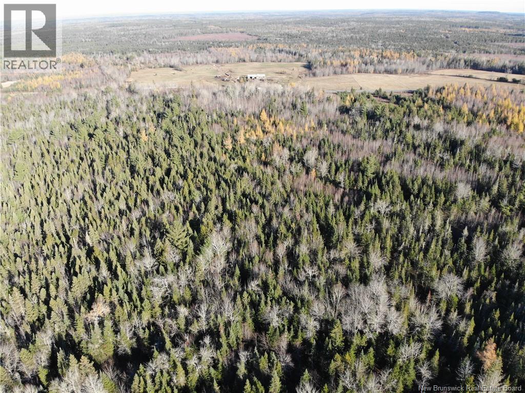 10552 Route 10, Youngs Cove, New Brunswick E4C 2E2 - Photo 7 - NB129558