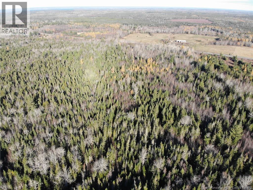 10552 Route 10, Youngs Cove, New Brunswick E4C 2E2 - Photo 9 - NB129558