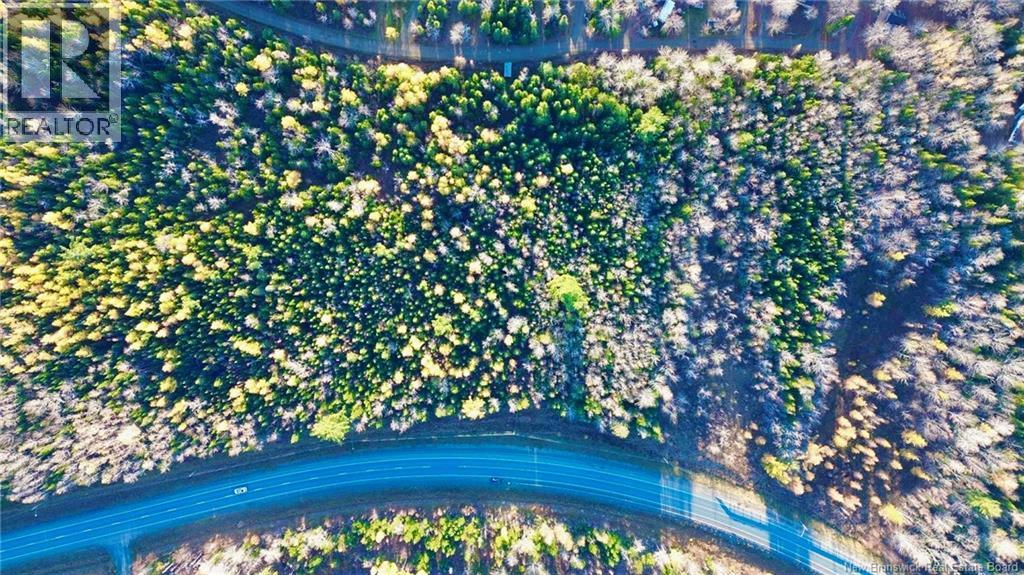 Subdivision Lot-A Route 126, Collette, New Brunswick E4Y 2T3 - Photo 5 - NB129596