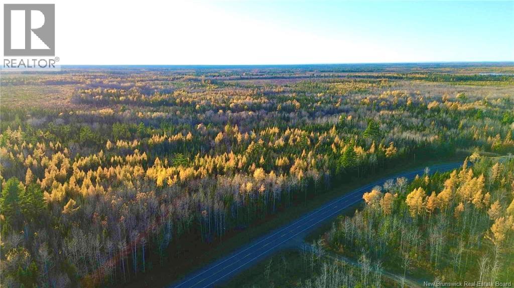 Subdivision Lot-C Route 126, Collette, New Brunswick E4Y 2T3 - Photo 3 - NB129594