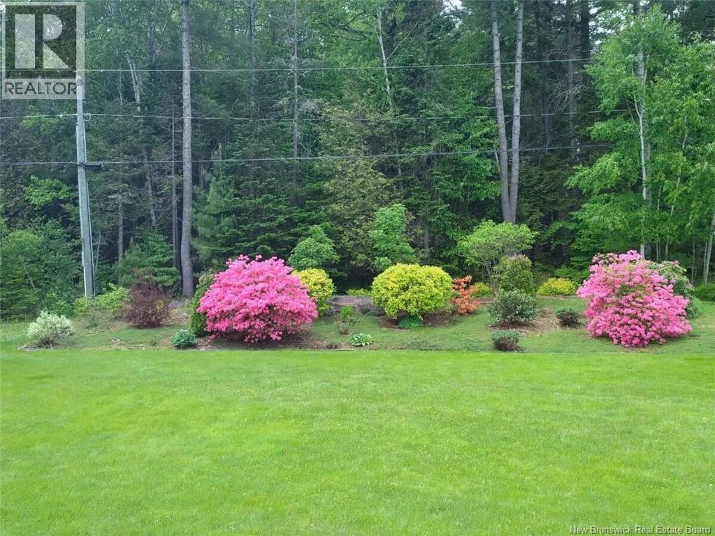 32 Barbara Court, Fredericton, New Brunswick E3B 7G6 - Photo 5 - NB129739