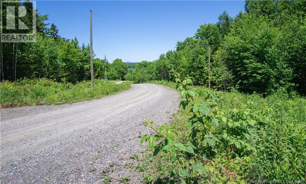 21-26 Misty Mountain Lane, Johnson Settlement, New Brunswick E5A 3B6 - Photo 2 - NB129744