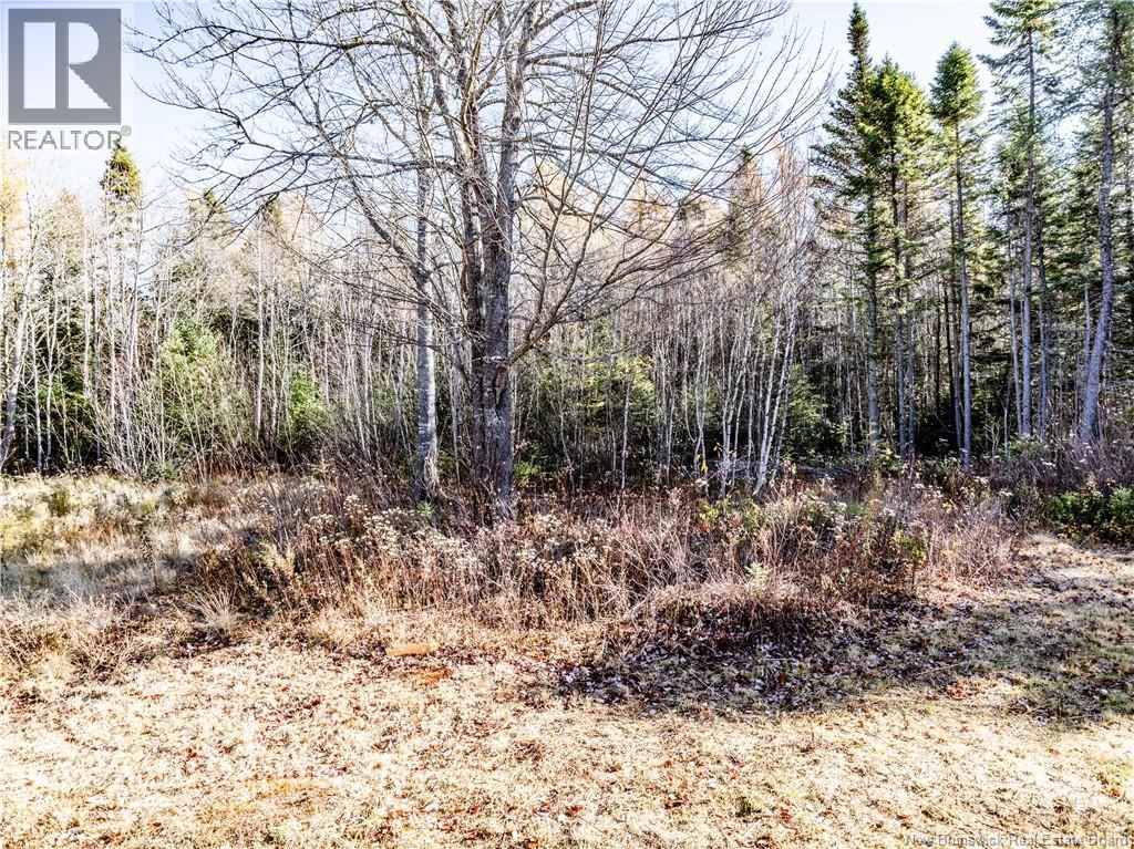 450 Bedec, Richibouctou-Village, New Brunswick E4W 1B3 - Photo 21 - NB129740