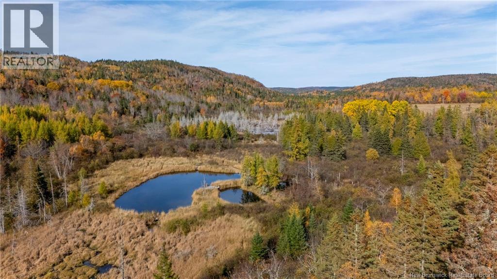 2346 Route 124, Hatfield Point, New Brunswick E5T 2T1 - Photo 46 - NB126651