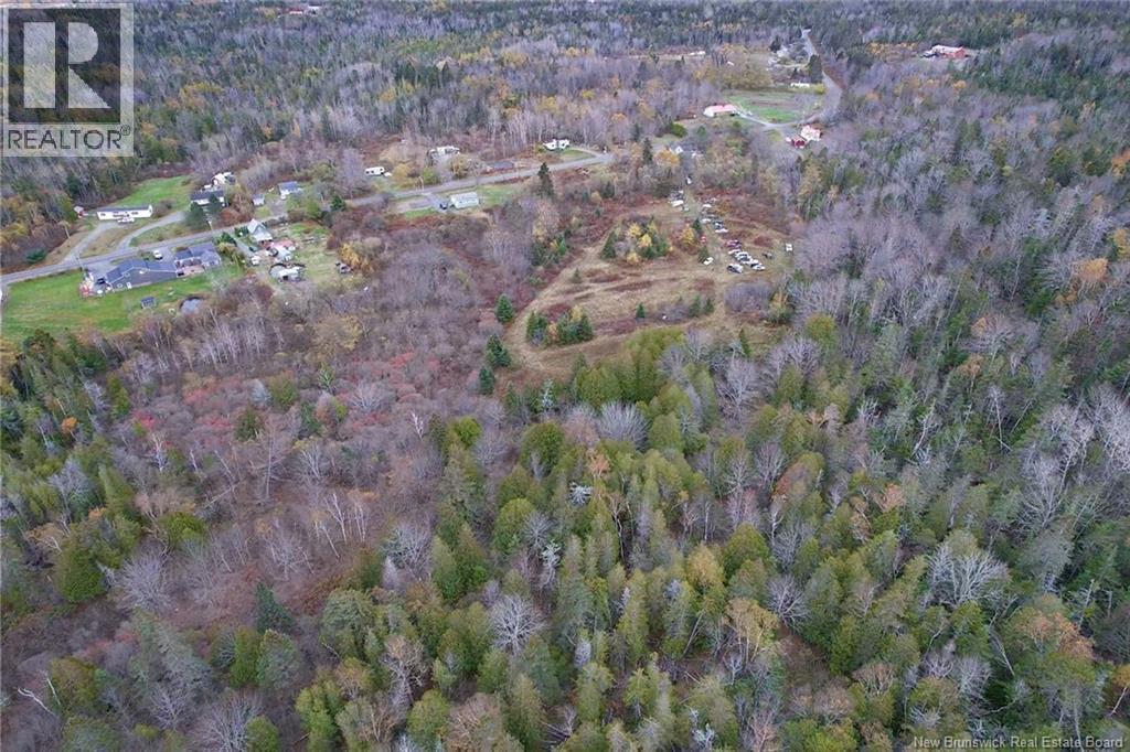 90 Cedar Street, Grand Manan, New Brunswick  E5G 2C2 - Photo 10 - NB129812