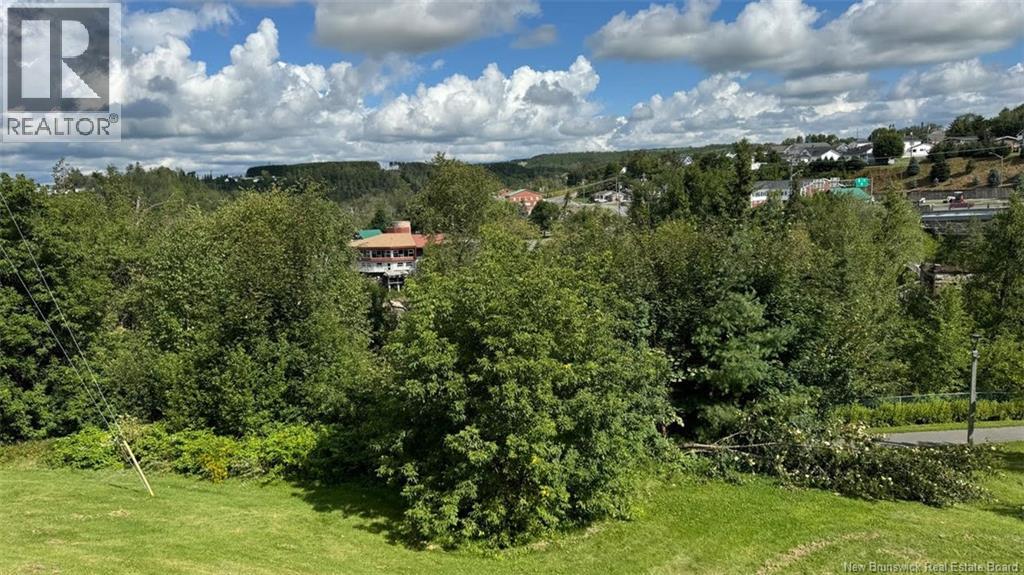 64 Broadway Boulevard, Grand-Sault/grand Falls, New Brunswick  E3Z 2J7 - Photo 14 - NB129825