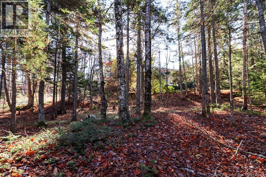 3053 Golden Grove Road, Saint John, New Brunswick E2S 2T6 - Photo 48 - NB129623