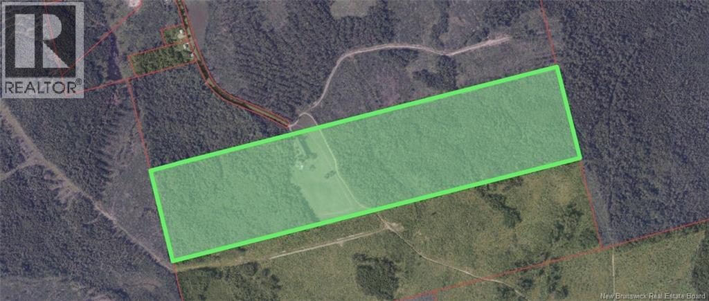 378 Birghton Cross Rd, East Brighton, New Brunswick E7P 2J5 - Photo 50 - NB129772