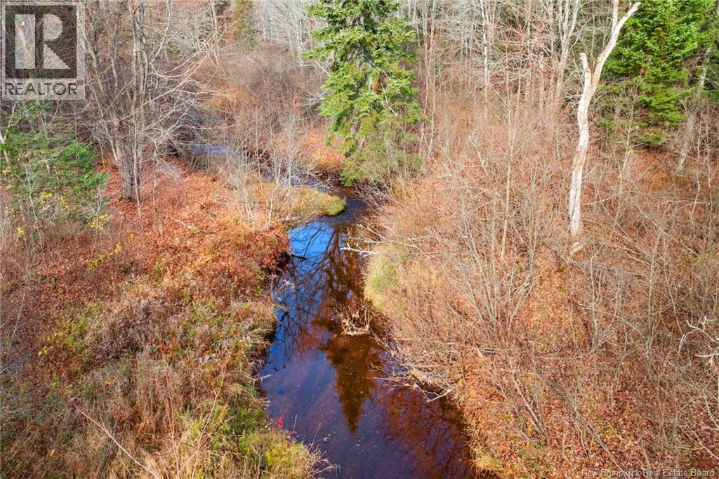 54 Landing Road, Geary, New Brunswick E2V 3Z1 - Photo 6 - NB129837