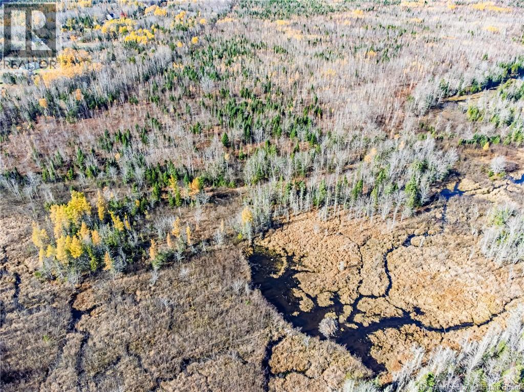 Lot Hurlett Road, Estey's Bridge, New Brunswick E3A 8H4 - Photo 6 - NB129842