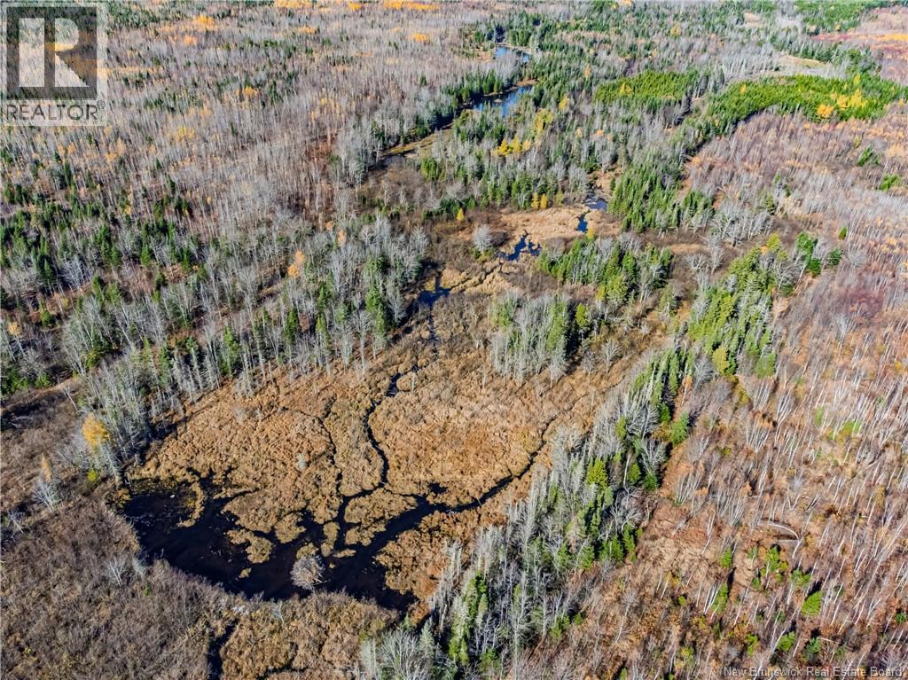 Lot Hurlett Road, Estey's Bridge, New Brunswick E3A 8H4 - Photo 7 - NB129842