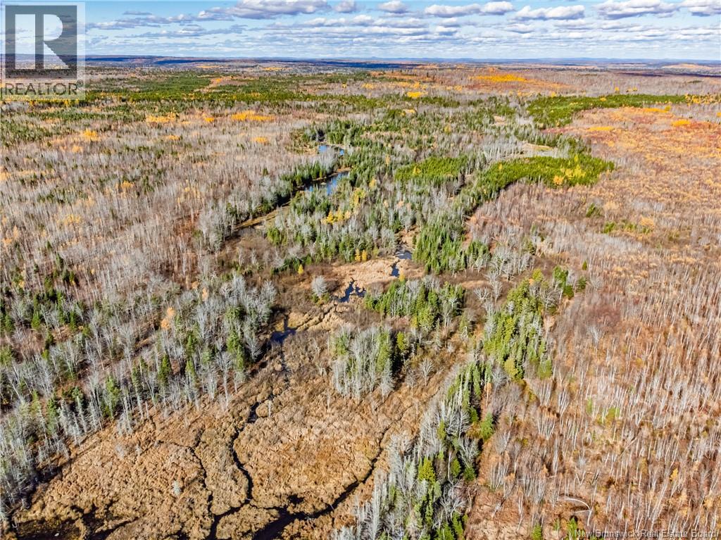 Lot Hurlett Road, Estey's Bridge, New Brunswick E3A 8H4 - Photo 8 - NB129842
