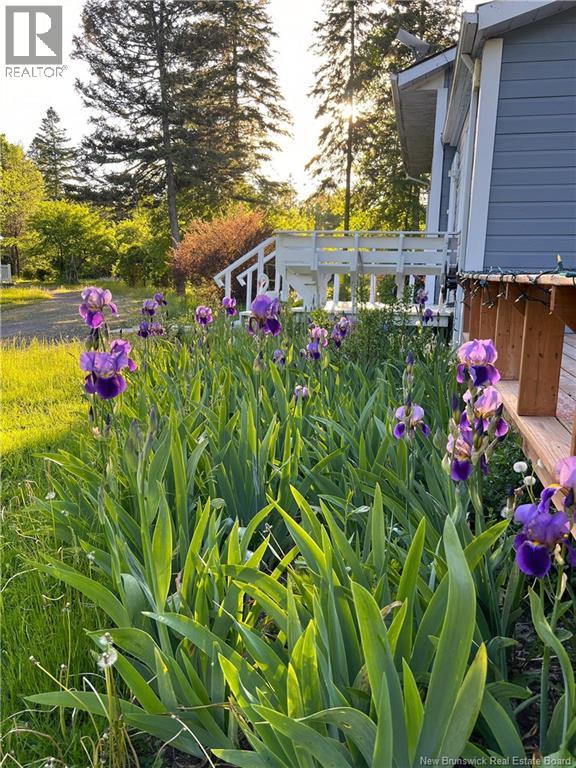 11594 Route 114, Springdale, New Brunswick  E4E 5M8 - Photo 45 - NB129574