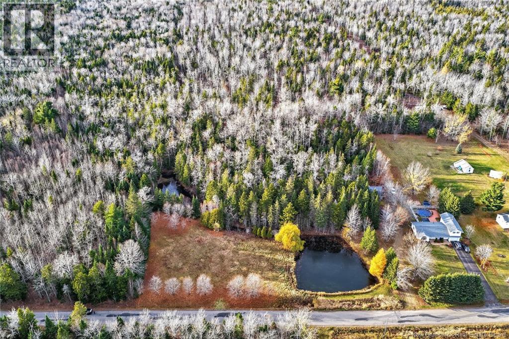 Lot Kay Road, Saint-Antoine, New Brunswick E4V 2S4 - Photo 11 - NB129752