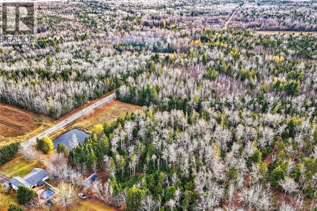 Lot Kay Road, Saint-Antoine, New Brunswick E4V 2S4 - Photo 15 - NB129752