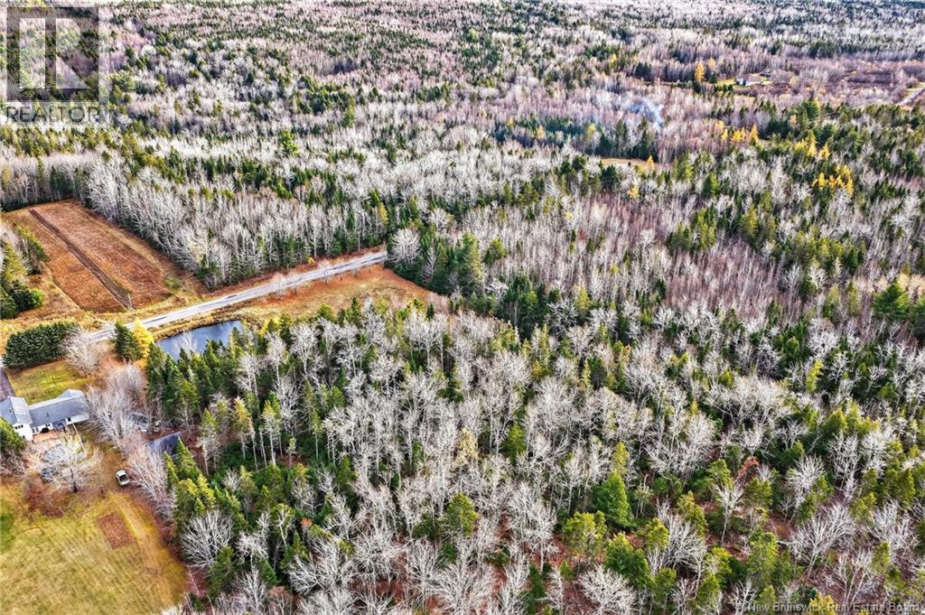 Lot Kay Road, Saint-Antoine, New Brunswick E4V 2S4 - Photo 16 - NB129752