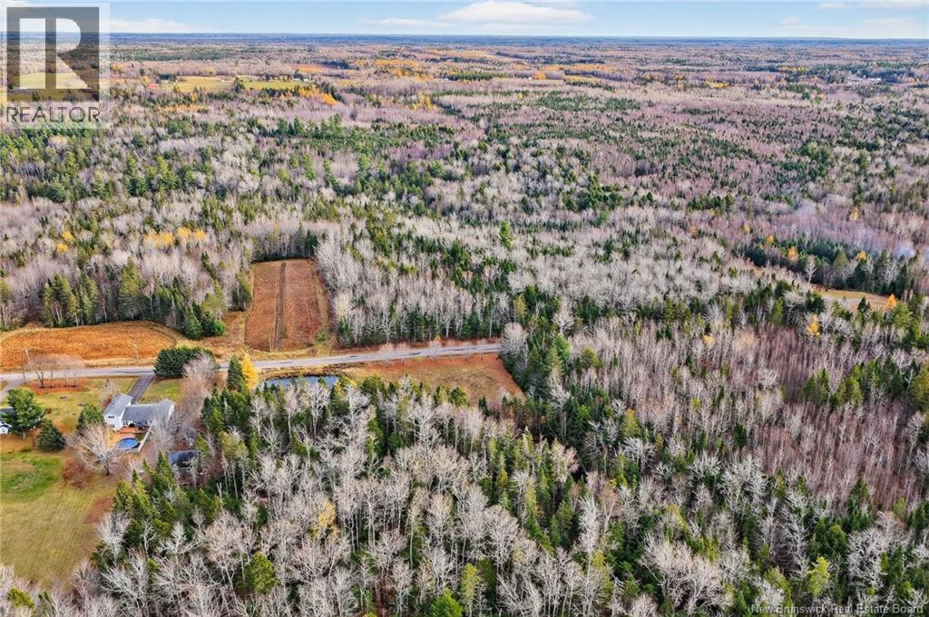 Lot Kay Road, Saint-Antoine, New Brunswick E4V 2S4 - Photo 17 - NB129752