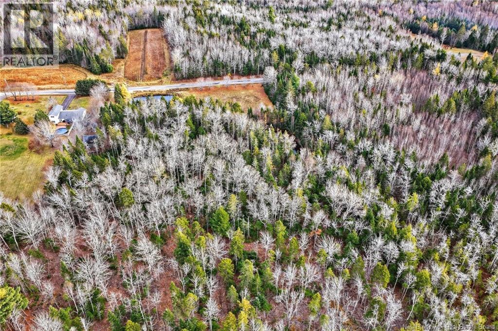 Lot Kay Road, Saint-Antoine, New Brunswick E4V 2S4 - Photo 18 - NB129752