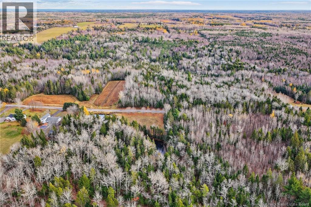 Lot Kay Road, Saint-Antoine, New Brunswick E4V 2S4 - Photo 19 - NB129752