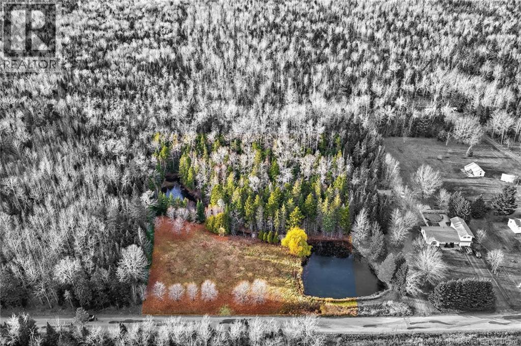 Lot Kay Road, Saint-Antoine, New Brunswick E4V 2S4 - Photo 2 - NB129752