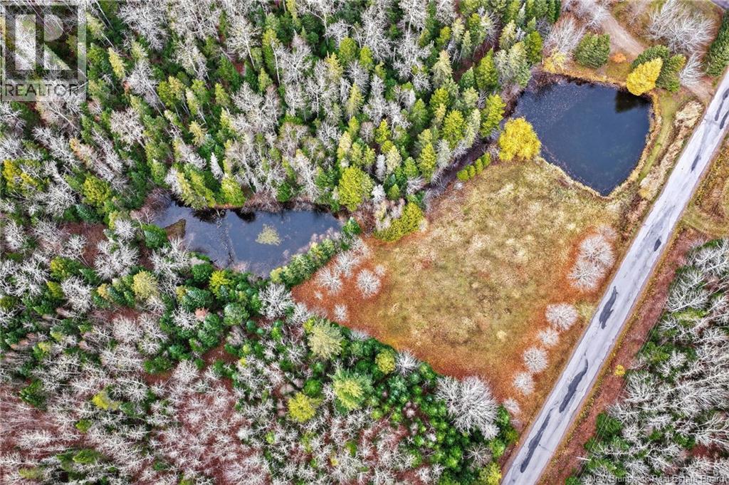 Lot Kay Road, Saint-Antoine, New Brunswick E4V 2S4 - Photo 23 - NB129752