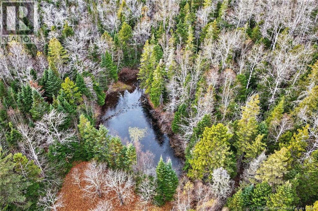 Lot Kay Road, Saint-Antoine, New Brunswick E4V 2S4 - Photo 24 - NB129752