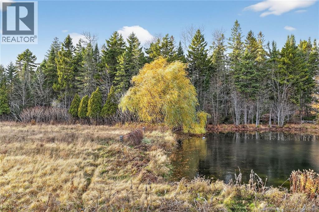 Lot Kay Road, Saint-Antoine, New Brunswick E4V 2S4 - Photo 3 - NB129752