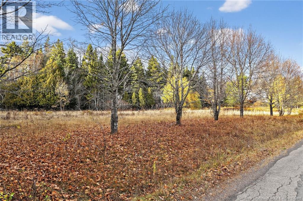 Lot Kay Road, Saint-Antoine, New Brunswick E4V 2S4 - Photo 4 - NB129752