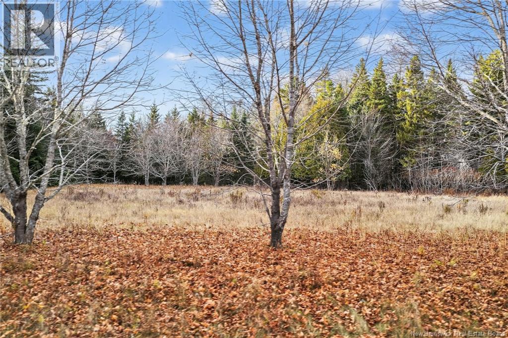 Lot Kay Road, Saint-Antoine, New Brunswick E4V 2S4 - Photo 5 - NB129752