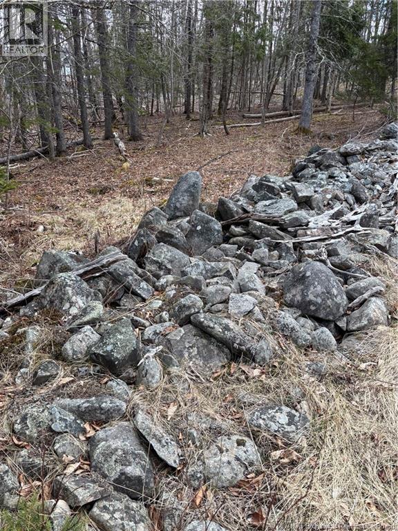 4640 Route 127, Chamcook, New Brunswick  E5B 3A3 - Photo 10 - NB129865