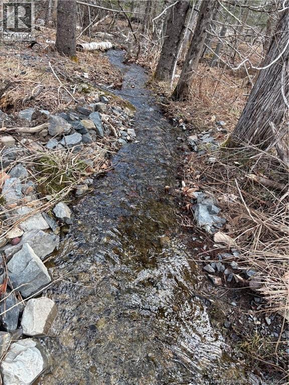 4640 Route 127, Chamcook, New Brunswick  E5B 3A3 - Photo 6 - NB129865