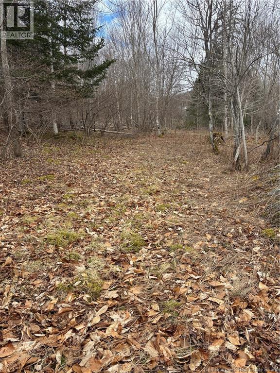 4640 Route 127, Chamcook, New Brunswick  E5B 3A3 - Photo 8 - NB129865