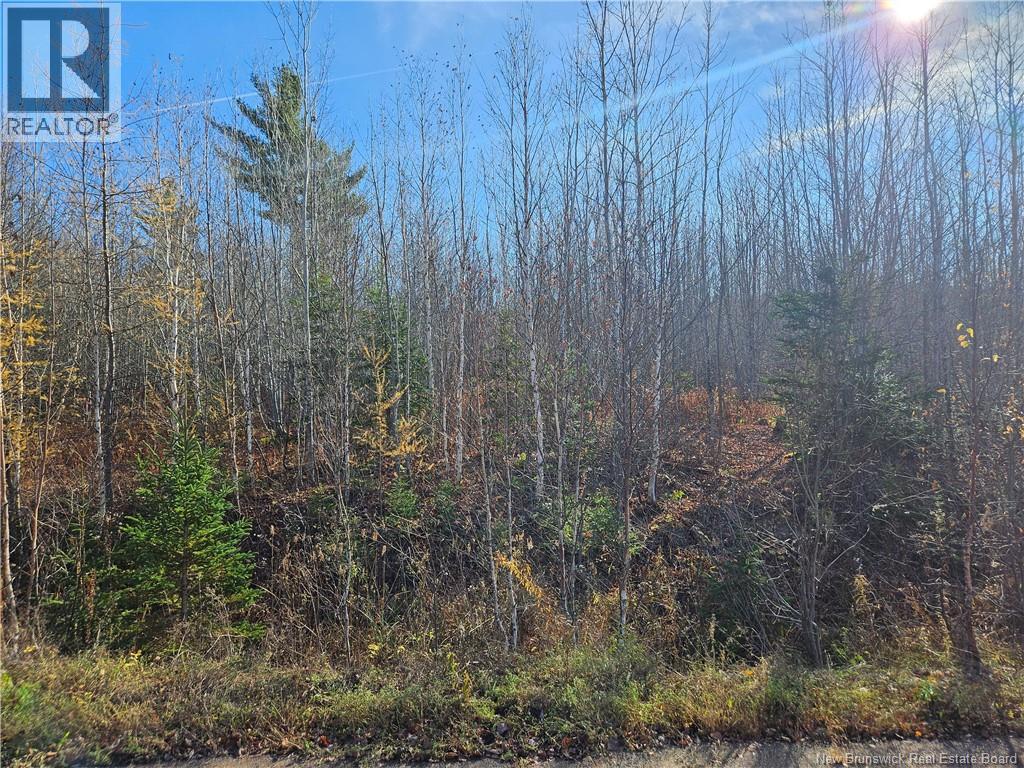 Lot 21-3 Waterway Road, Moncton, New Brunswick  E1G 0S8 - Photo 5 - NB129657