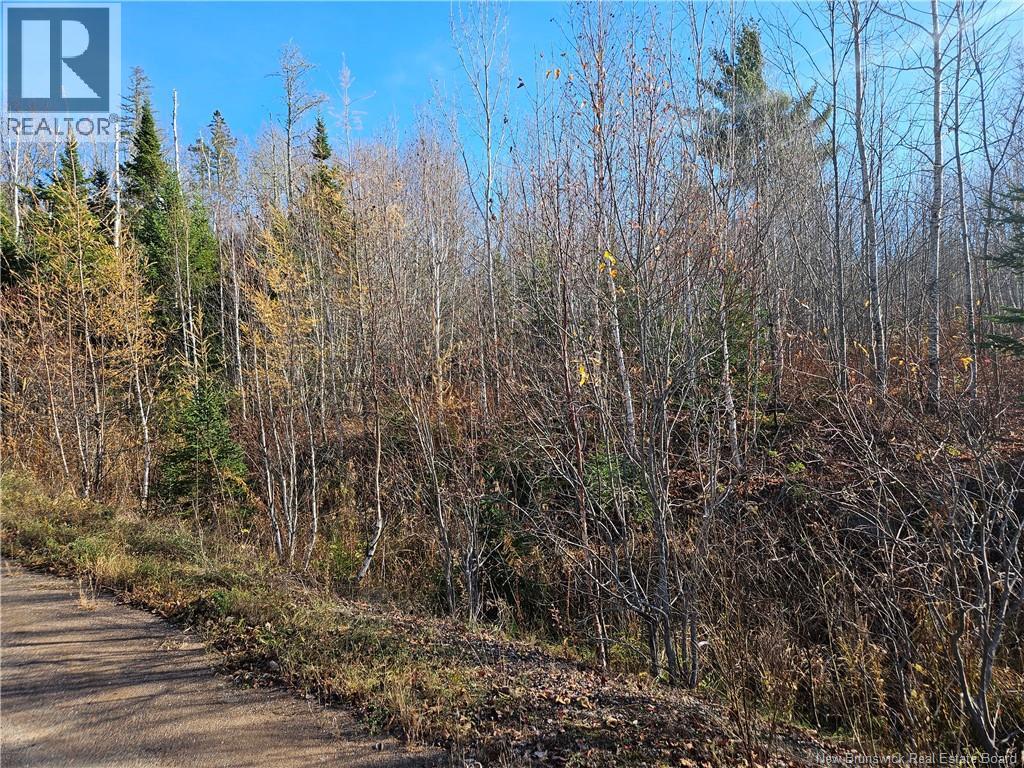 Lot 21-3 Waterway Road, Moncton, New Brunswick  E1G 0S8 - Photo 7 - NB129657