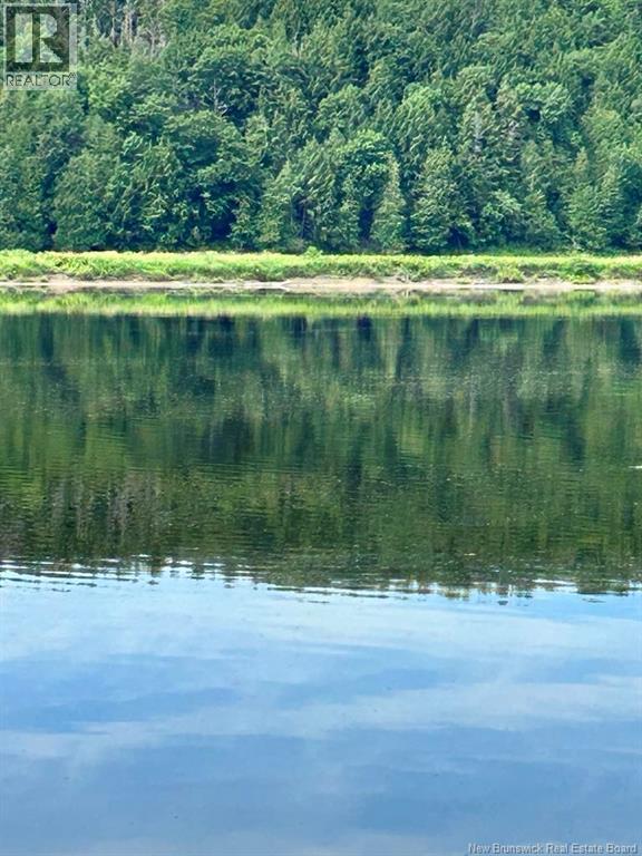 5189 105 Route, Grafton, New Brunswick  E7N 1S3 - Photo 47 - NB129914