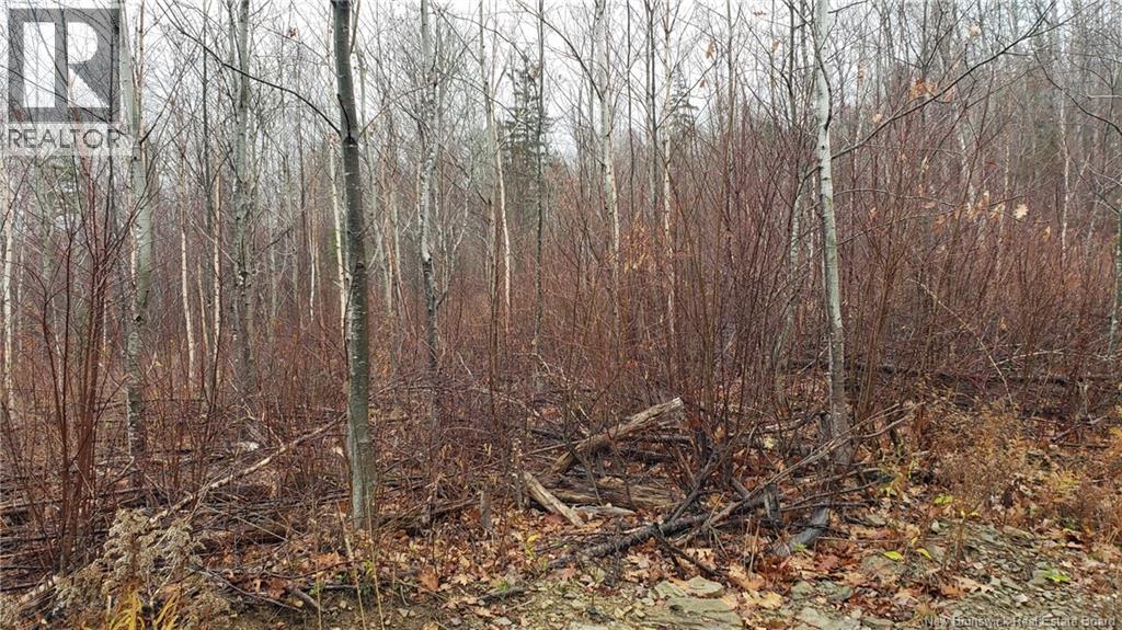 . Urney Road, Waterford, New Brunswick  E4E 5A4 - Photo 13 - NB129948